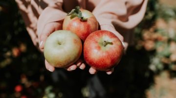 Jabuke u rukama