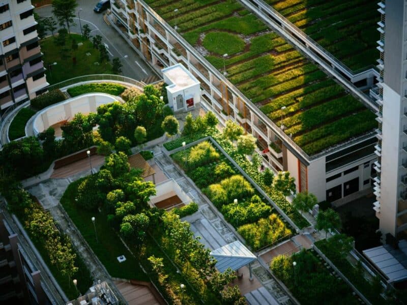 zeleni-krovovi-na-zgradama